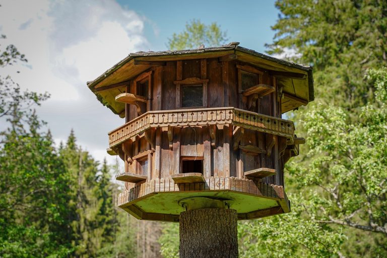 Crafting Dreams: The Unsung Heroes Behind Treehouse Design